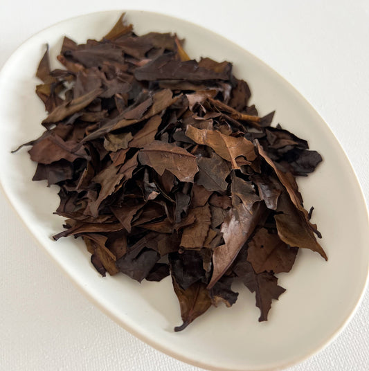 Kyobancha Shinichi Kihara